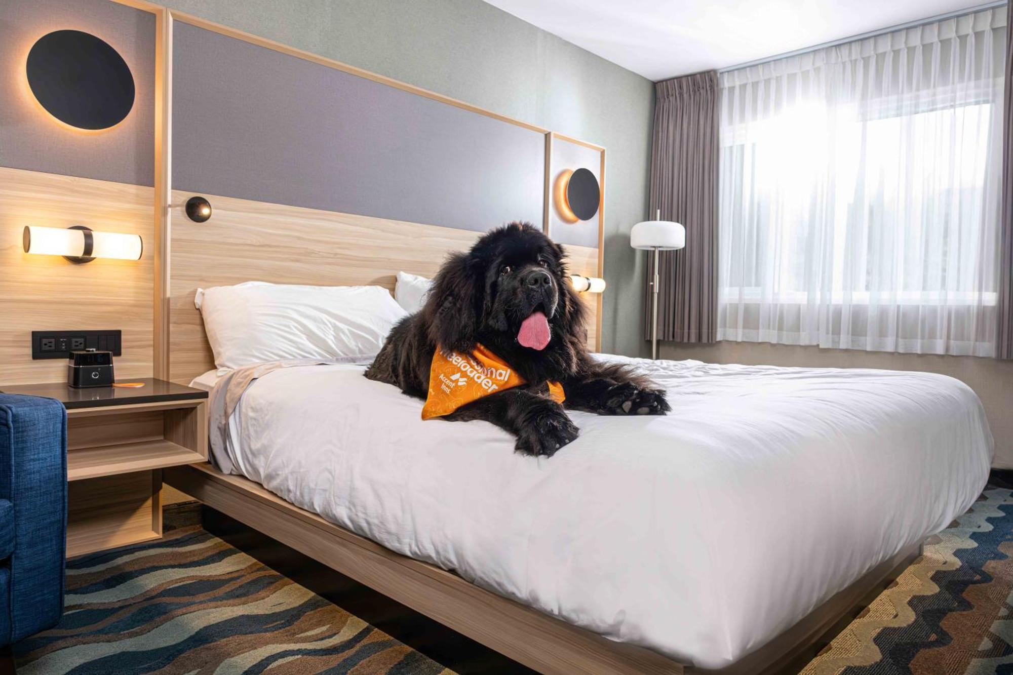 Accent Inns Vancouver Airport Ричмънд Екстериор снимка